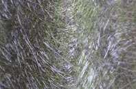 Stokesley fibreglass roof work